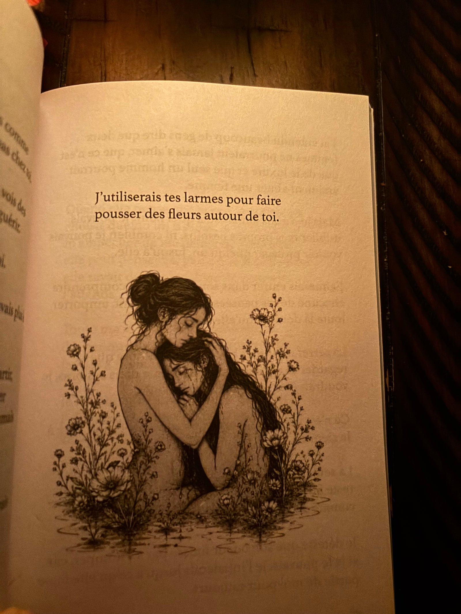 Insafica: édition française