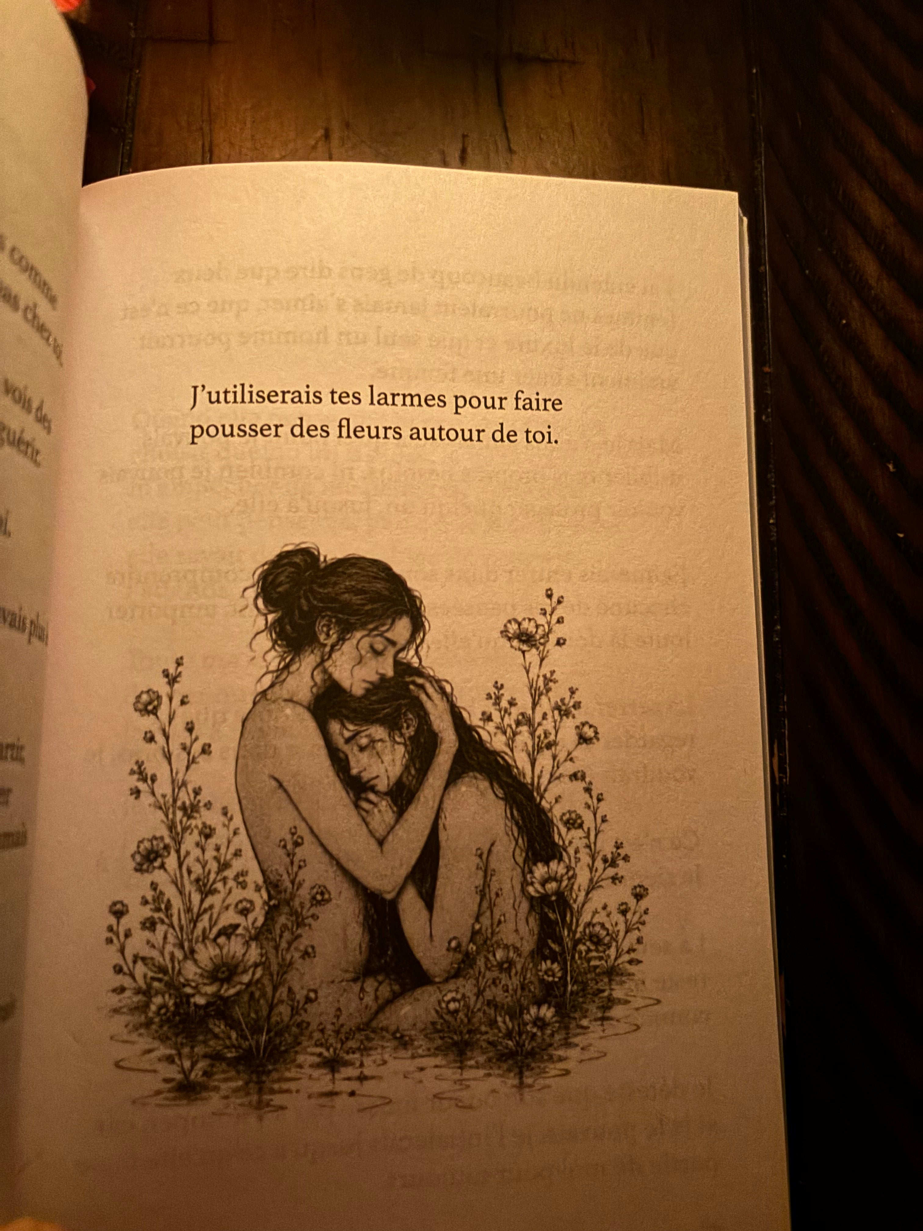 Insafica: édition française