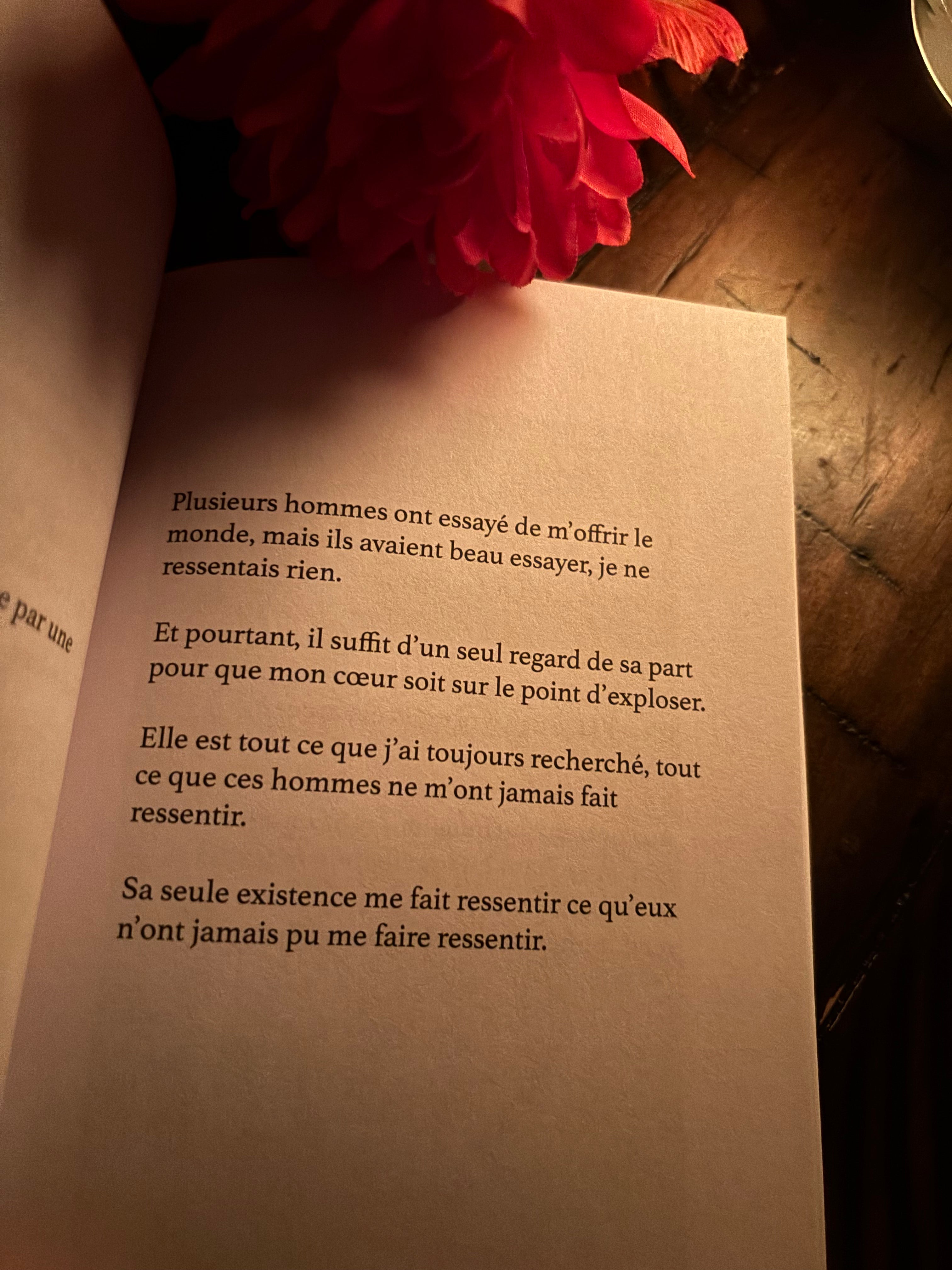 Insafica: édition française